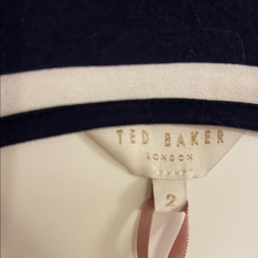 Ted Baker London Navy and Burgundy Striped Midi Dress - Picture 10 of 11